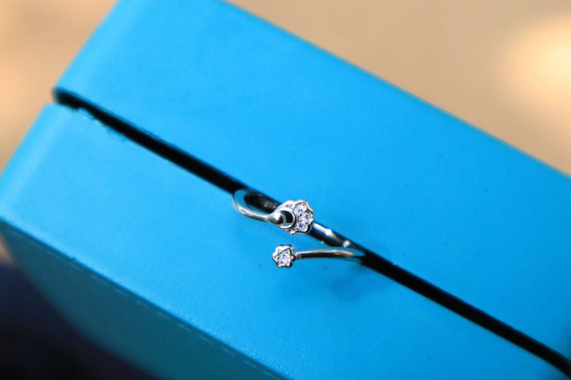 Pawsome Design Silver Ring